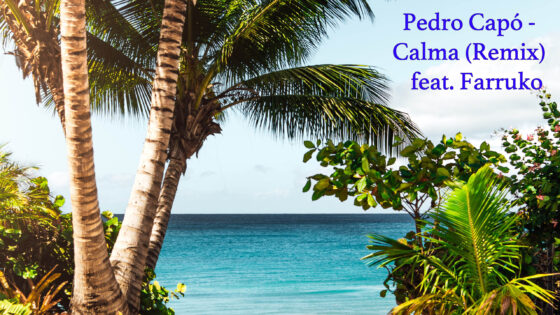 Pedro Capo Calma (Remix) feat. Farrukoのイメージ。プエルトリコの海