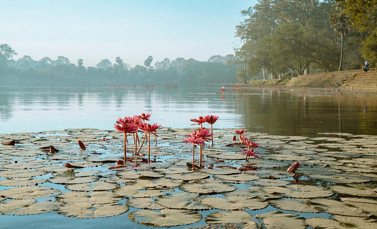 カンボジアの湖
