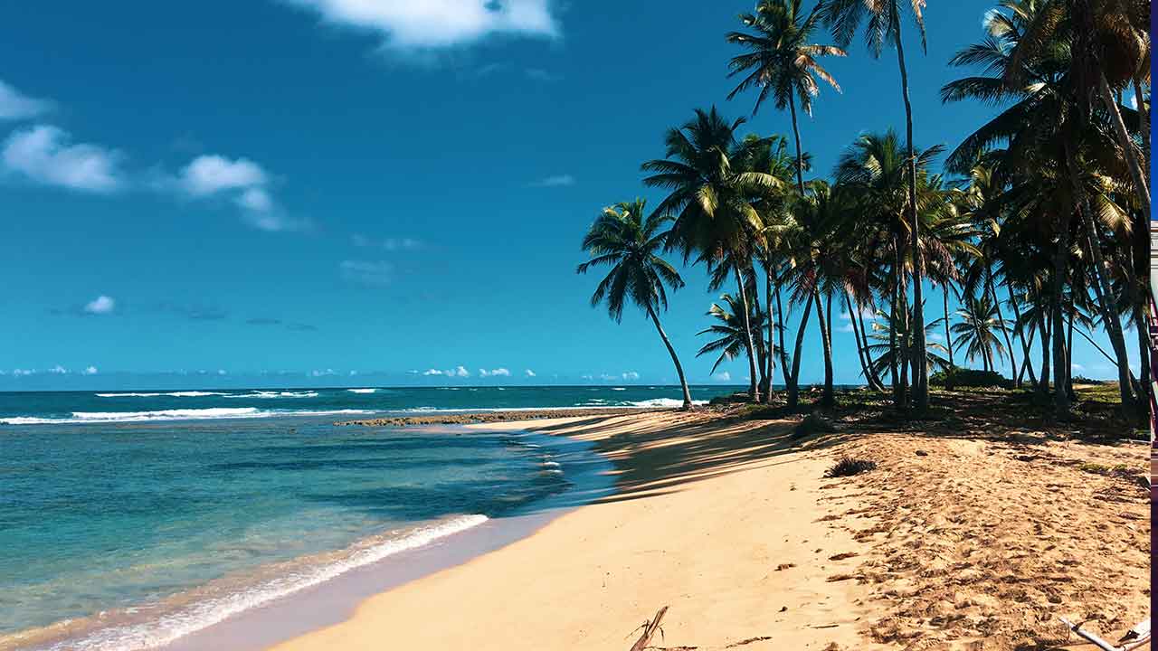ドミニカ共和国のビーチ