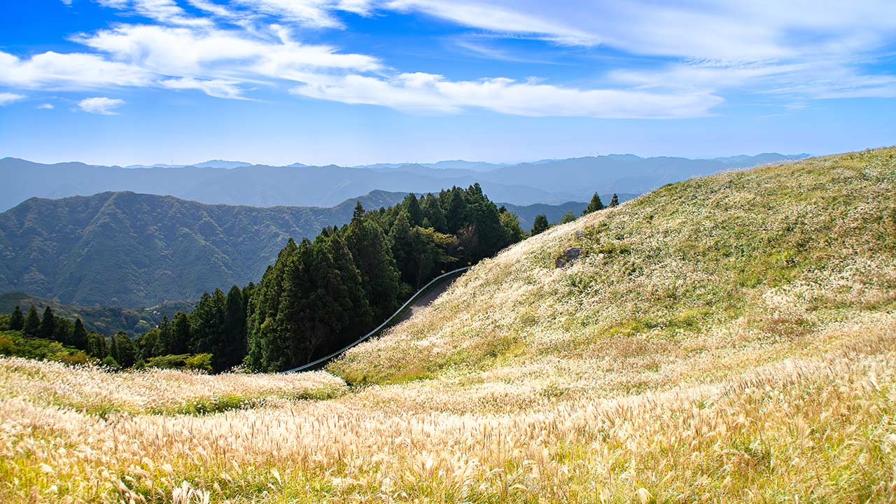 和歌山の生石高原